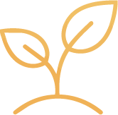 Rooted Kids